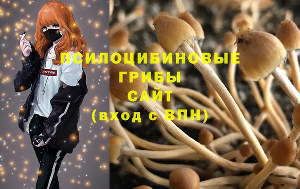 spice Волоколамск