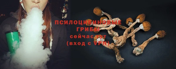 гидра Надым