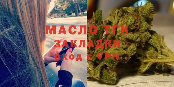 гидра Надым