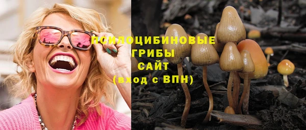 гидра Надым