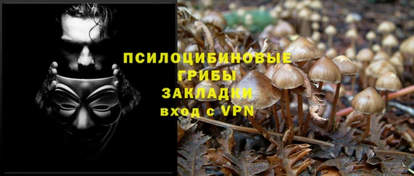 гидра Наволоки