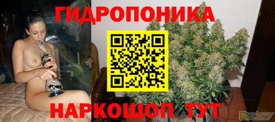 дживик Берёзовский