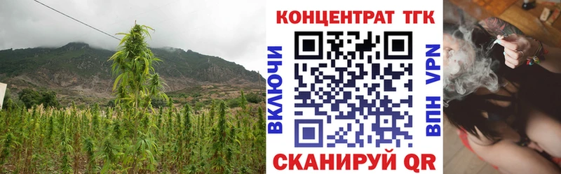 что такое   KRAKEN ТОР  Дистиллят ТГК жижа  Владивосток 