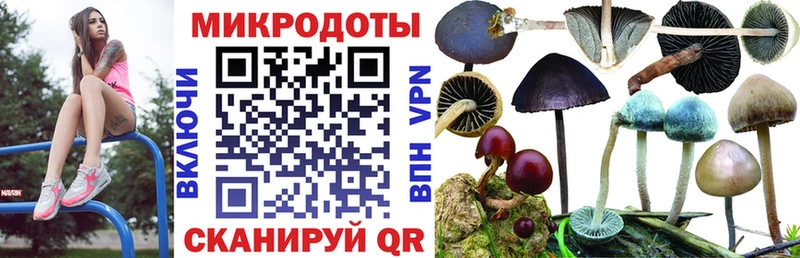 Галлюциногенные грибы Magic Shrooms Владивосток