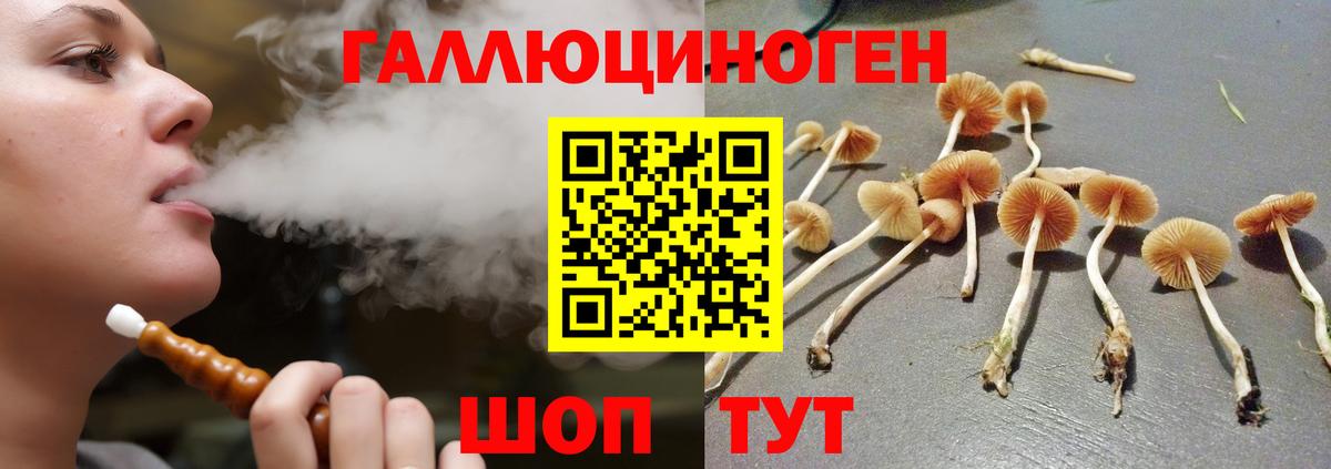 Галлюциногенные грибы Cubensis Владивосток